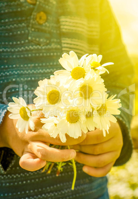 Little Child Is Holding A Bouquet Of Daisy Flower