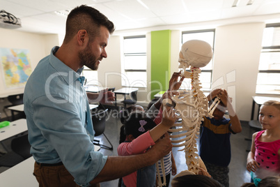 Side view of male teacher explaining skeleton model in classroom