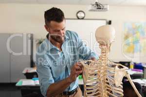Male teacher fixing skeleton model in classroom