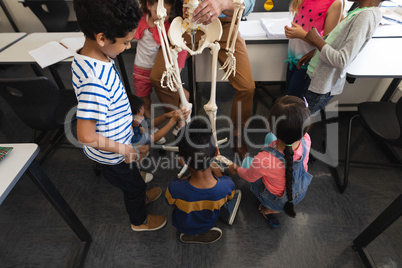High angle view of schoolkids learning anatomy of human skeleton in classroom