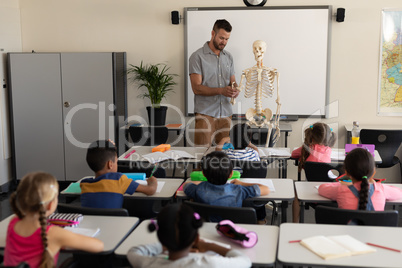 Far sight of male teacher explaining human skeleton model in classroom