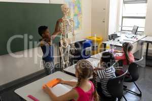 Side view of schoolboy explaining human skeleton model in classroom