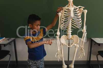 Front view of schoolboy explaining human skeleton model in classroom