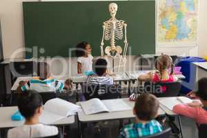 Rear view of little schoolgirl explaining human skeleton model in classroom