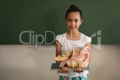 Front view of smiling asian schoolgirl holding anatomical model and looking at camera in classroom