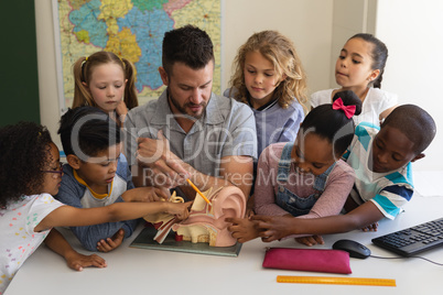 Front view of male teacher explaining anatomy using anatomical model at desk in classroom