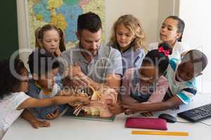 Front view of male teacher explaining anatomy using anatomical model at desk in classroom