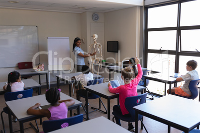 Female teacher explaining skeleton parts to schoolkids in classroom