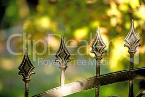 fence with green background