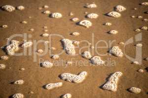 Foam bubbles of the surf on sand