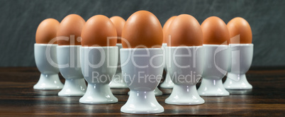 Ten Eggs in Egg Cups on a Table Panorama