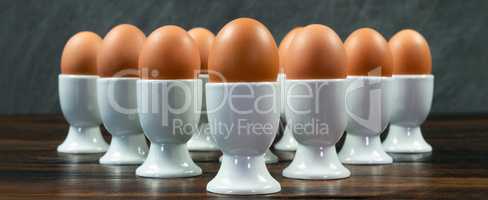 Ten Eggs in Egg Cups on a Table Panorama