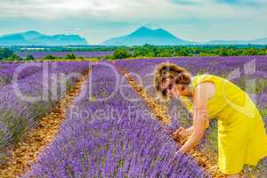 Woman in flowering lavender field