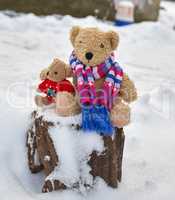 two teddy brown bears sit hugging on stump