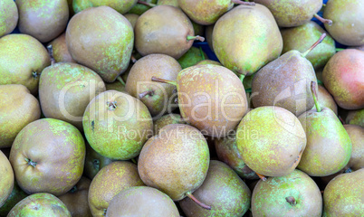 pears