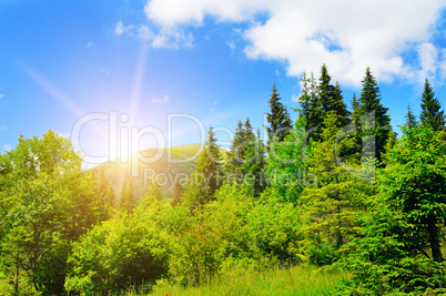 Picturesque mountains Carpathians and sunrise. In the distance y
