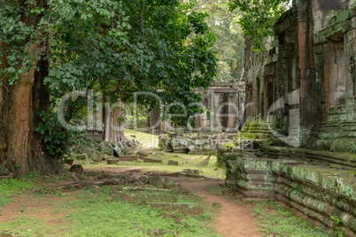 Walls of ruined stone temple in trees