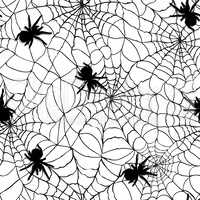 spider web texture background