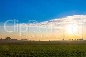colorful sunrise view and salad field