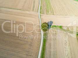 aerial of empty fields with single tree
