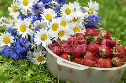 Daisies and strawberries