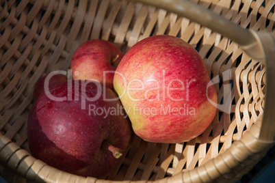 Ripe red apples in the basket.