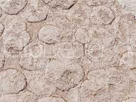 Dürre der Wüste mit Struktur in Namibia, Afrika