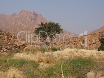 Steppe, Baum Mann und Berg in Afrika