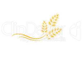 Wheat icon. agriculture farm logo. natural product grain sign