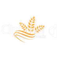 Wheat icon. agriculture farm logo. natural product grain sign