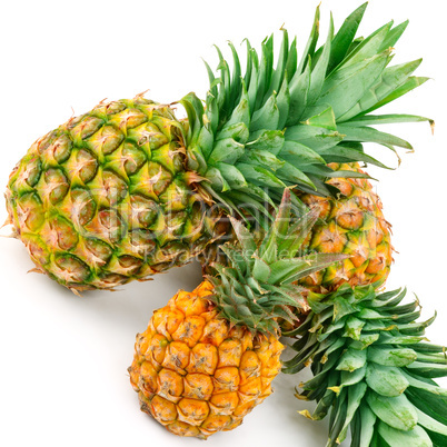 Set of pineapples isolated on white background.