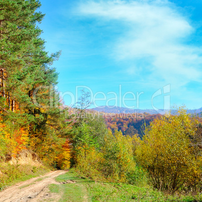 Colorful autumn landscape with picturesque forest and old countr