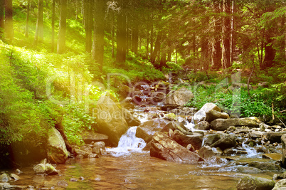 Mountain river, forest and bright sun.