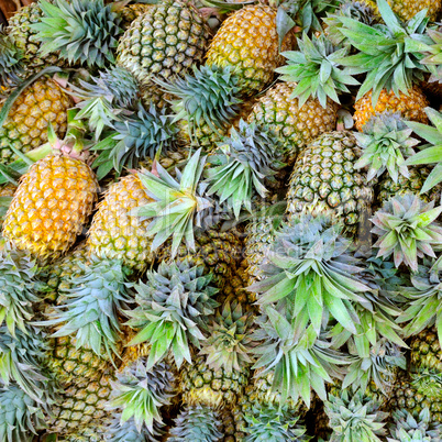 Bright background of fresh juicy pineapples.