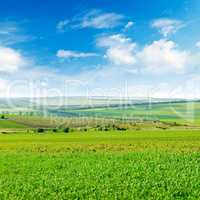 Picturesque green field and blue sky with light clouds.