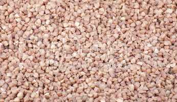 buckwheat background