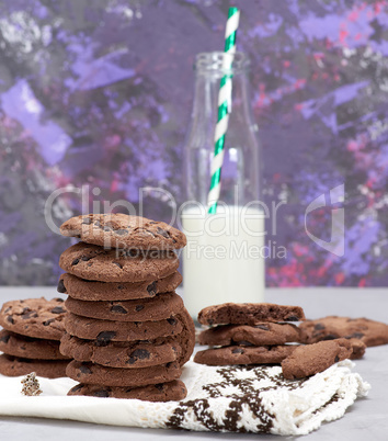 baked round chocolate chip cookies