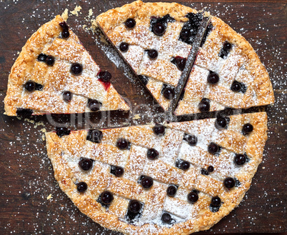 baked round black currant cake and powdered with icing sugar