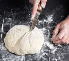 round piece of kneaded dough