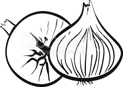 Contour of two onions