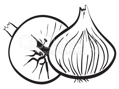 Contour of two onions