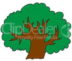 Illustration of tree