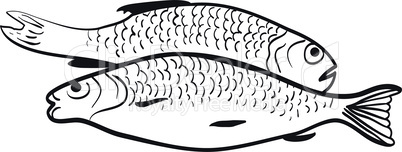 Contour of two fish