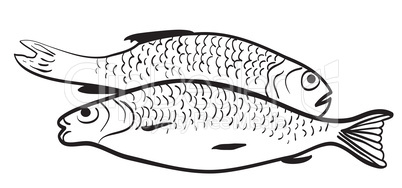 Contour of two fish