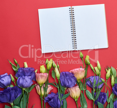 open notebook  on a red background