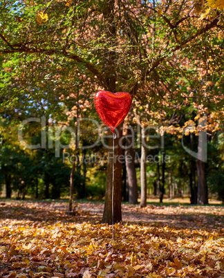 red balloon flies in the autumn park