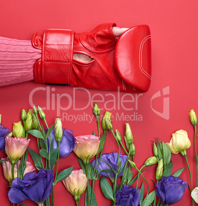 hand in a red boxing glove and  flowers Eustoma Lisianthus