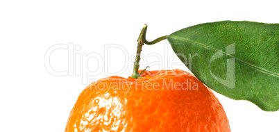 Tangerine with leaf