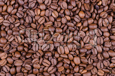 Coffee beans