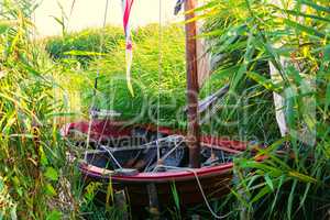 Small Zees boat In the reed, sailboat, fishing boat